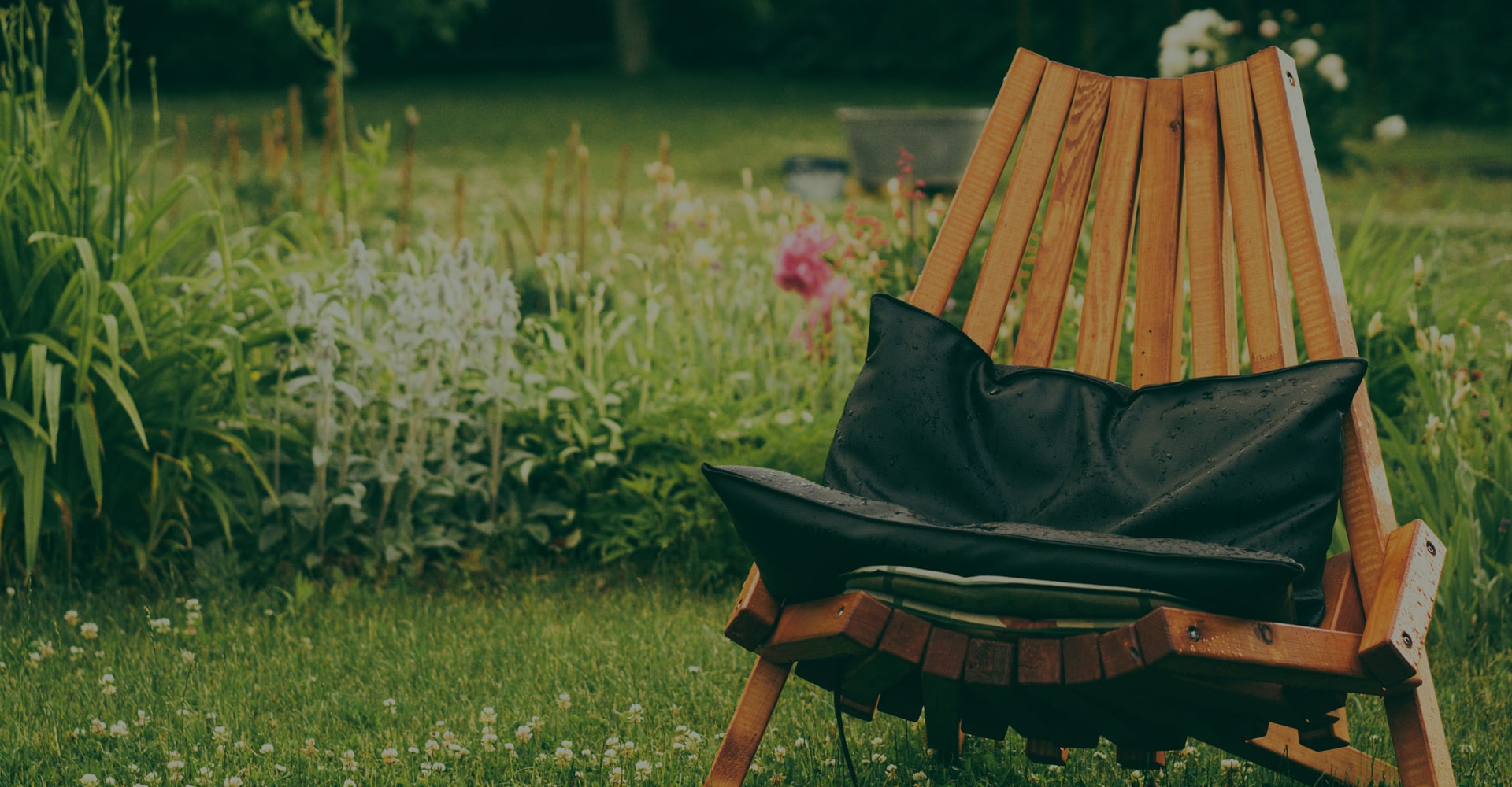 Khám phá vẻ đẹp của thiên nhiên