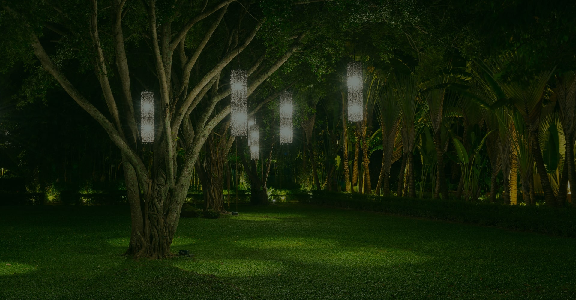 Nâng tầm nội thất của bạn với cây cảnh